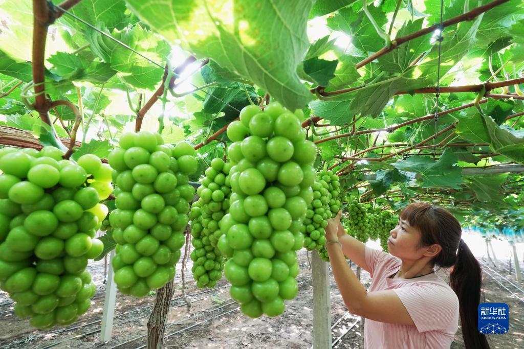 2025开户送体验金68